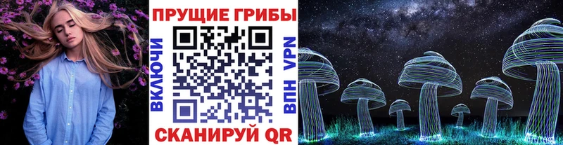 Псилоцибиновые грибы Psilocybine cubensis  дарнет шоп  Агидель 